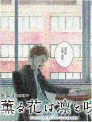 韩剧社招牌纸灯与长街剧照占位图